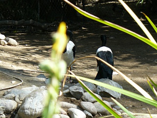 &nbsp;Select this image to see a larger version. 