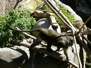 &nbsp;Select this image to see a larger version. 