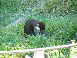 &nbsp;Select this image to see a larger version. 