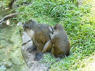 &nbsp;Select this image to see a larger version. 