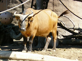 &nbsp;Select this image to see a larger version. 