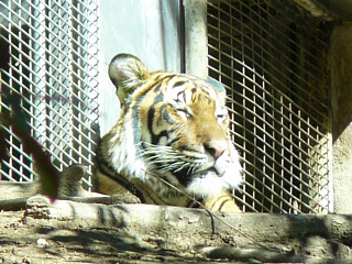 &nbsp;Select this image to see a larger version. 