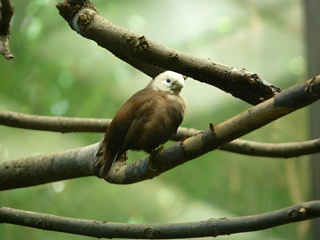 &nbsp;Select this image to see a larger version. 