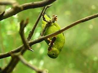 &nbsp;Select this image to see a larger version. 