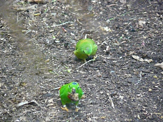 &nbsp;Select this image to see a larger version. 