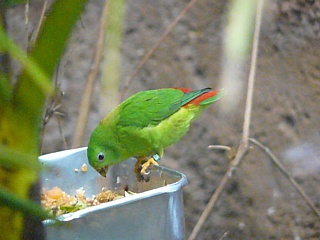 &nbsp;Select this image to see a larger version. 