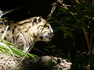 &nbsp;Select this image to see a larger version. 