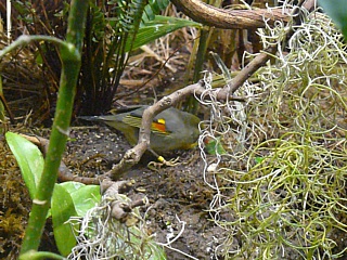 &nbsp;Select this image to see a larger version. 