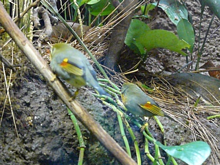 &nbsp;Select this image to see a larger version. 