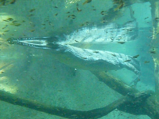 &nbsp;Select this image to see a larger version. 