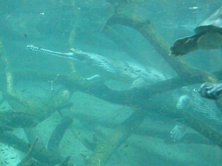 &nbsp;Select this image to see a larger version. 