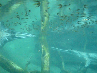 &nbsp;Select this image to see a larger version. 