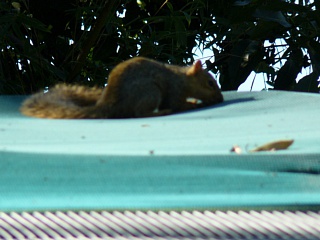 &nbsp;Select this image to see a larger version. 