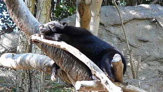 &nbsp;Select this image to see a larger version. 