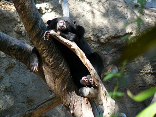 &nbsp;Select this image to see a larger version. 