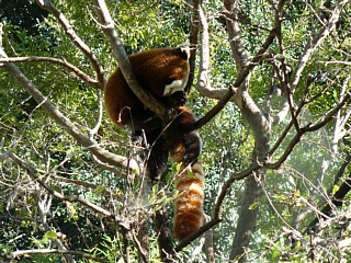 &nbsp;Select this image to see a larger version. 