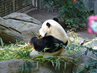 &nbsp;Select this image to see a larger version. 