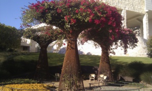 &nbsp;Select this image to see a larger version. 