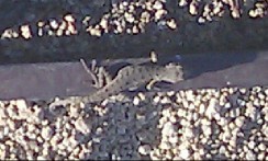 &nbsp;Select this image to see a larger version. 