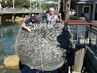 &nbsp;Select this image to see a larger version. 