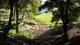 &nbsp;Select this image to see a larger version. 