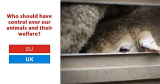 &nbsp;Select this image to see a larger version. 