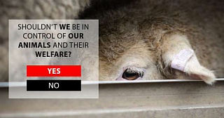 &nbsp;Select this image to see a larger version. 