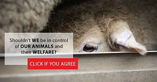 &nbsp;Select this image to see a larger version. 