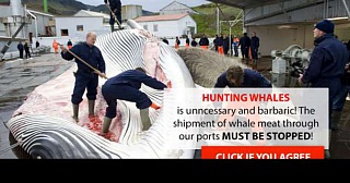 &nbsp;Select this image to see a larger version. 