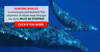 &nbsp;Select this image to see a larger version. 