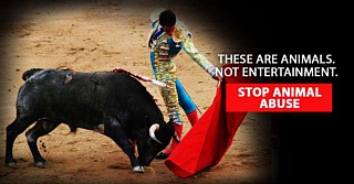 &nbsp;Select this image to see a larger version. 