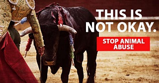 &nbsp;Select this image to see a larger version. 