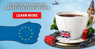 &nbsp;Select this image to see a larger version. 