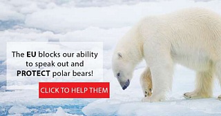 &nbsp;Select this image to see a larger version. 