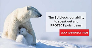 &nbsp;Select this image to see a larger version. 